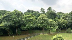 Blk 349 Yishun Avenue 11 (Yishun), HDB 5 Rooms #273374661